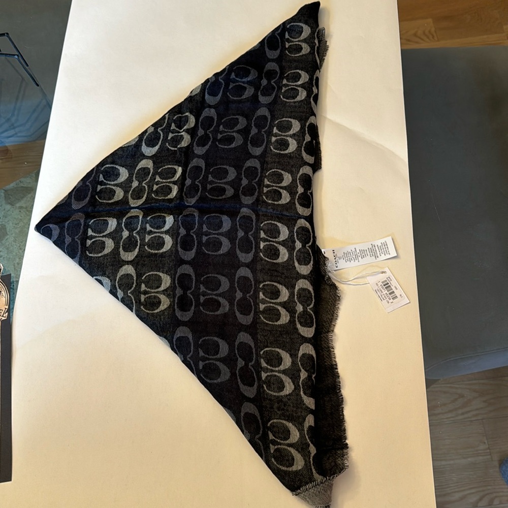 Coach Signature Ombre Stripe Scarf in Black/ Multi